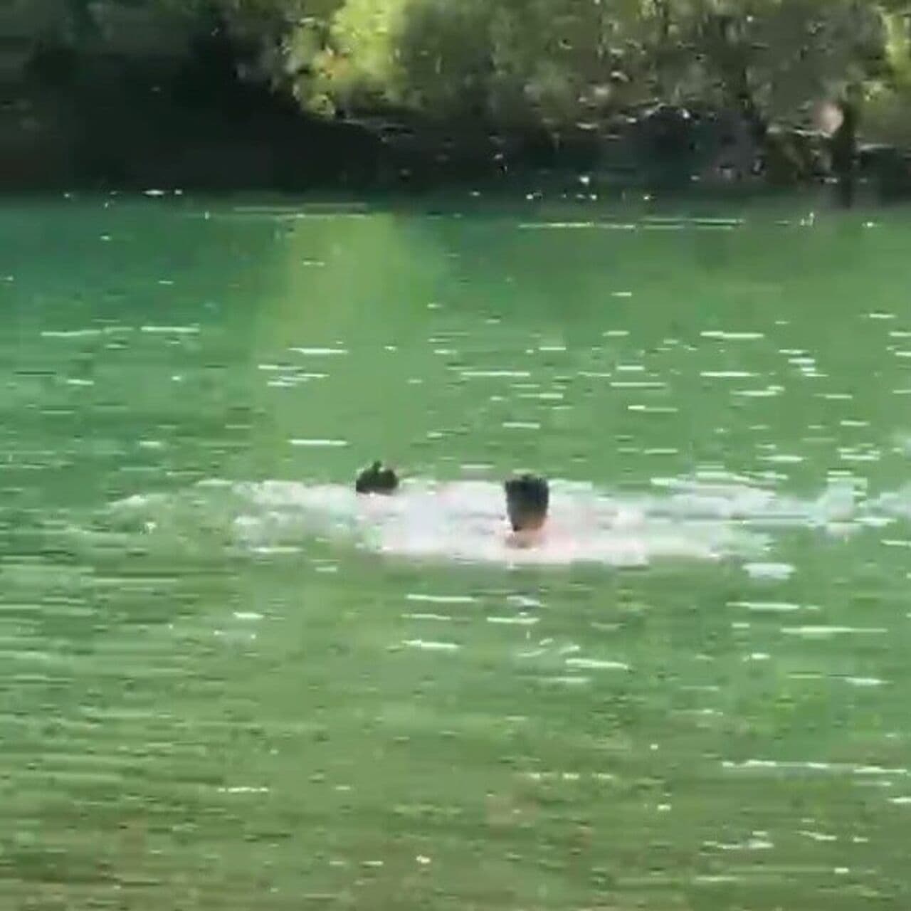 Dicle Nehri'nde piknik yapan bir aileden 4 kadının bindiği bot devrildi, 1 ölü