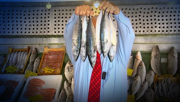 1 Eylül’de yasak sona eriyor: 'Marmara’da palamut, Karadeniz’de hamsi bol'