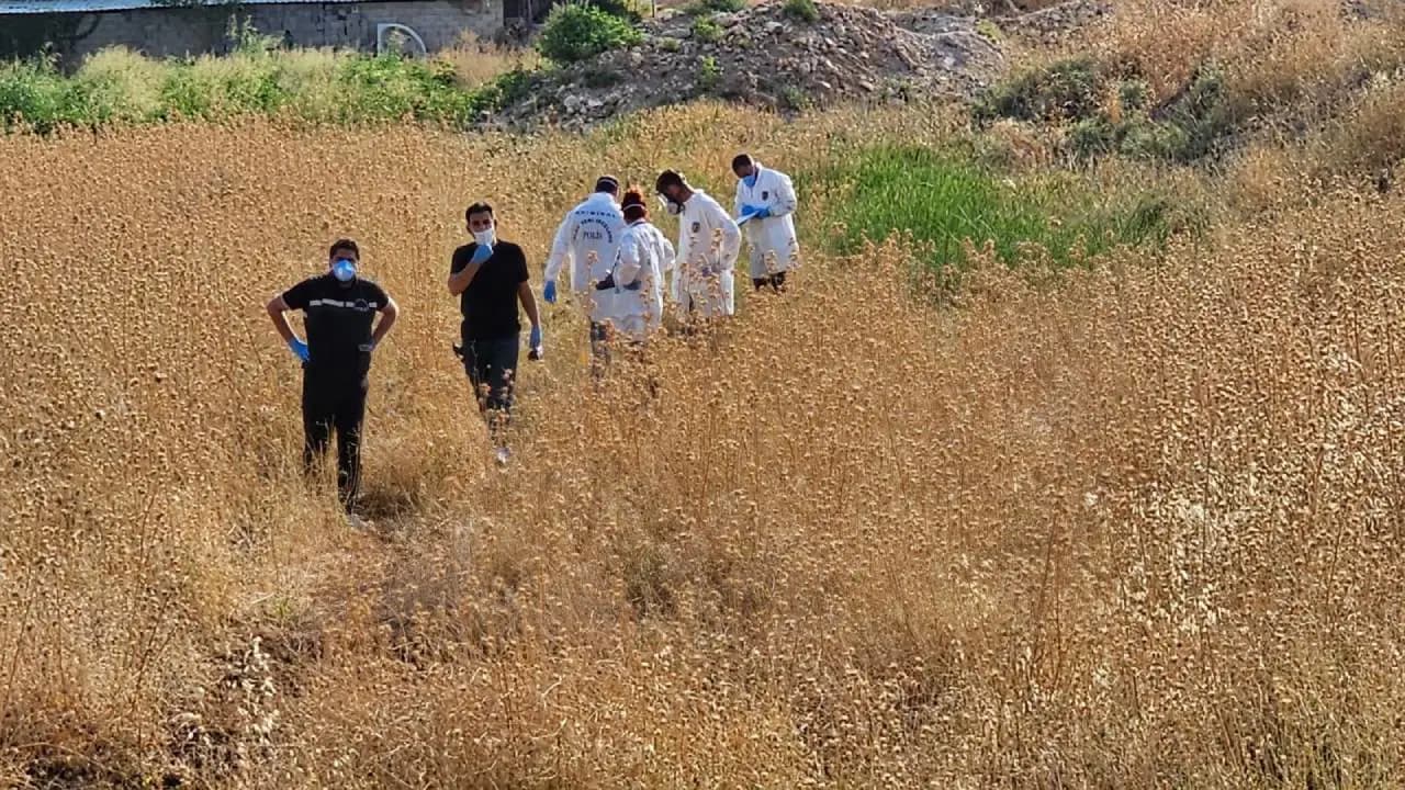 Şanlıurfa'da Tarlada Erkek Ceheti Bulundu