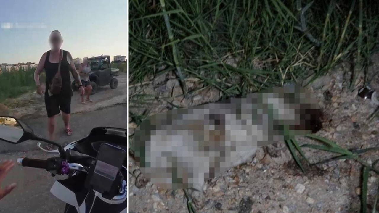 'Alman turist yavru köpeği taşla öldürdü' iddiası: Gözaltına alınıp serbest bırakıldı