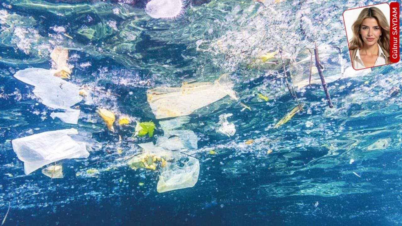 Mikroplastik Kirliliği Genişliyor: Türkiye'nin Mavi Koyları ve Çevresi