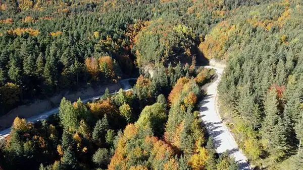 Bolu'da Orman Yangını Riski Artıyor