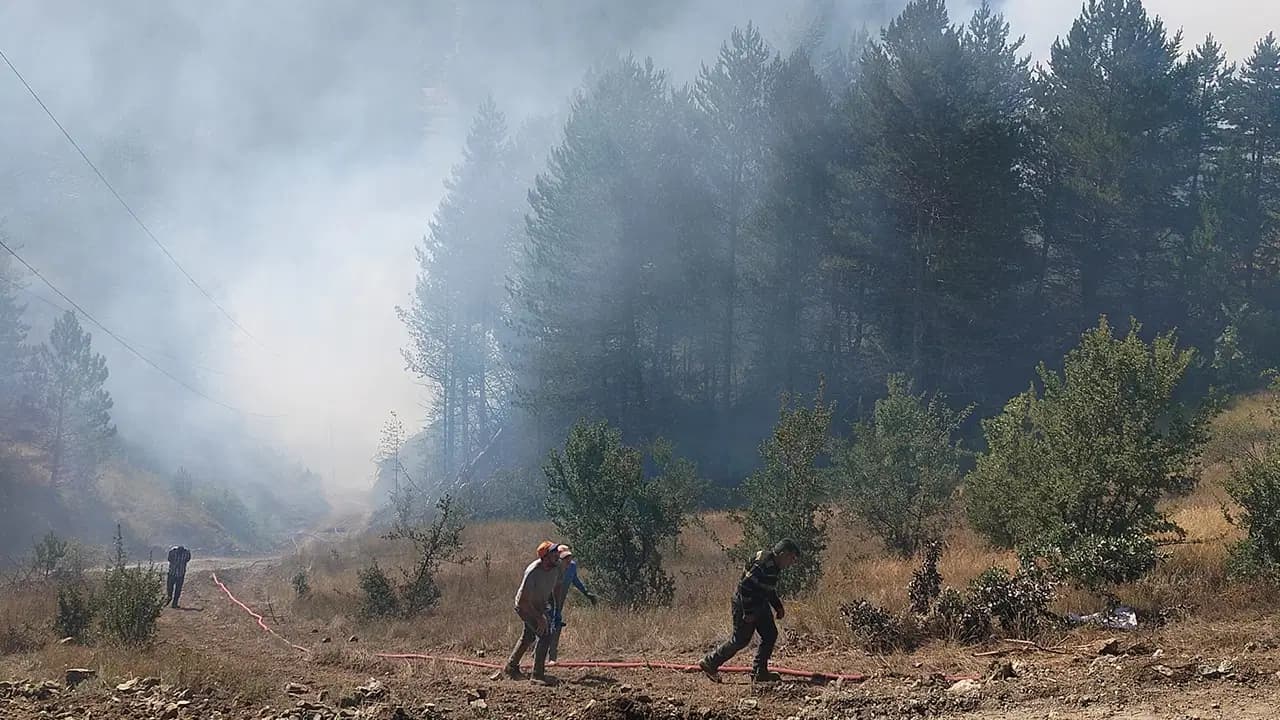 Adalet Bakanı Akın Gürlek: 64 Orman Yangınıyla İlgili 11 Şüpheli Tutuklandı
