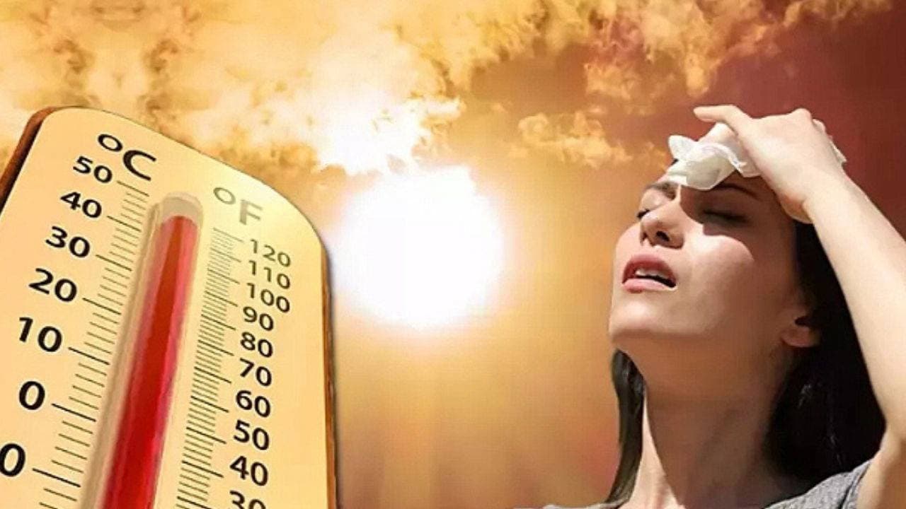 Belçika'da alarm verildi! Sıcak hava dalgasına girildi: Yılın en sıcak günü...