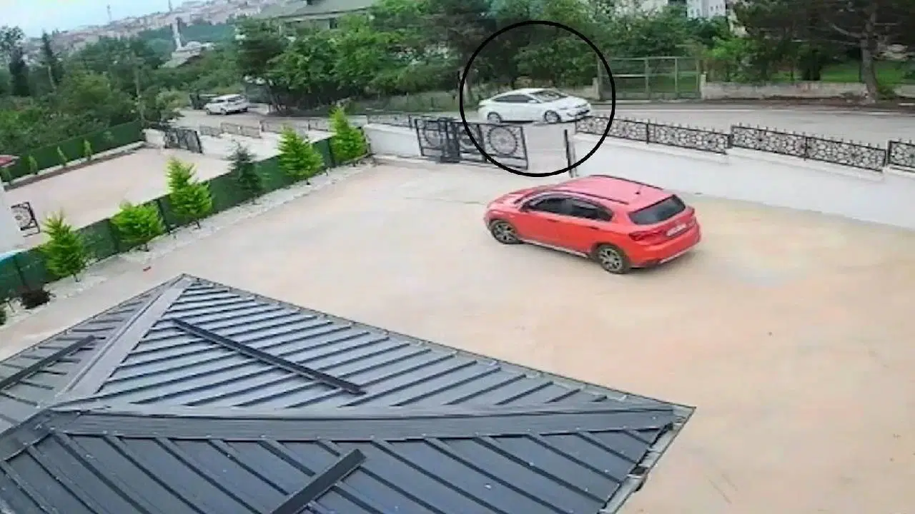 Köpeği Çarptıktan Sonra Yoluna Devam Etti: 10 Yaşındaki Çocuk Bayıldı