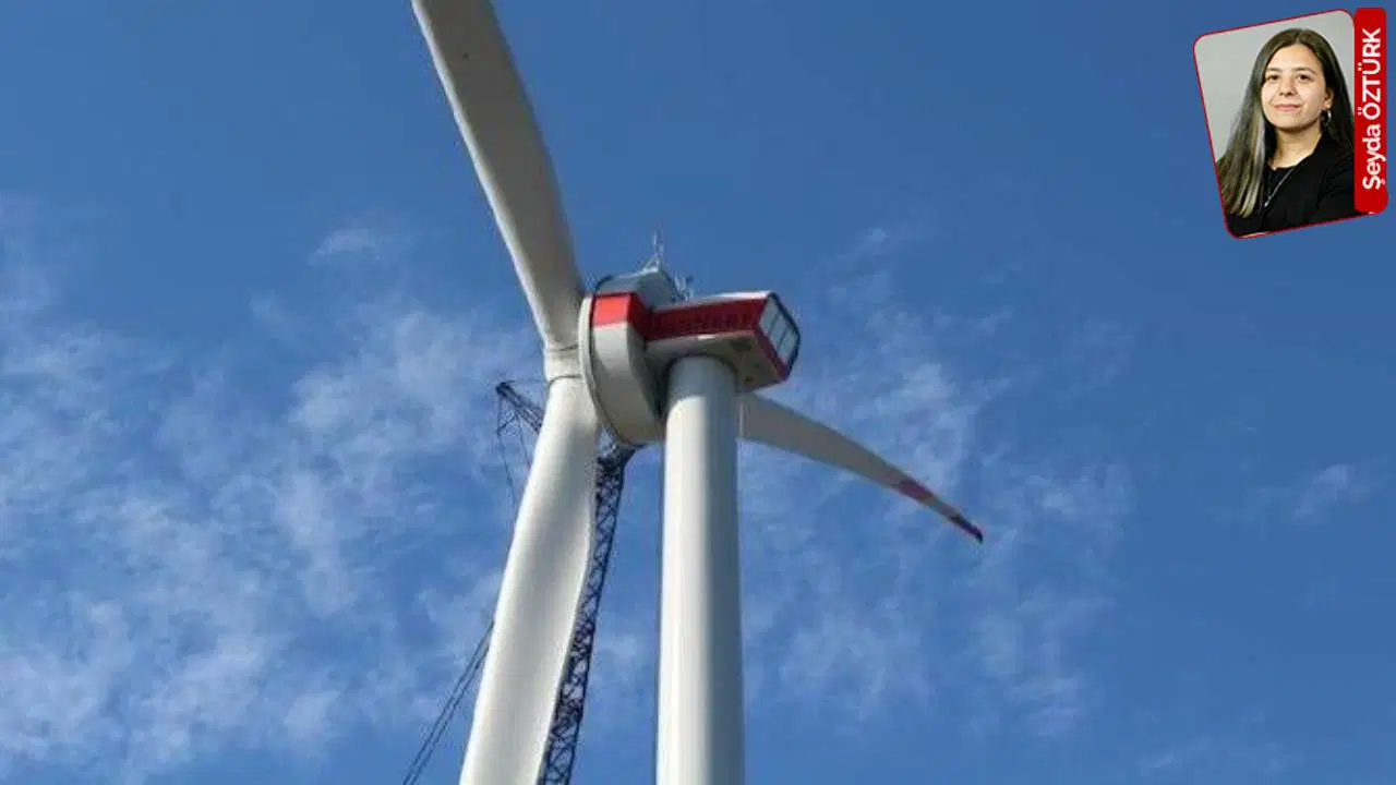 Danıştay, Muğla'daki Rüzgar Enerji Santrali Projesini İptal Etti