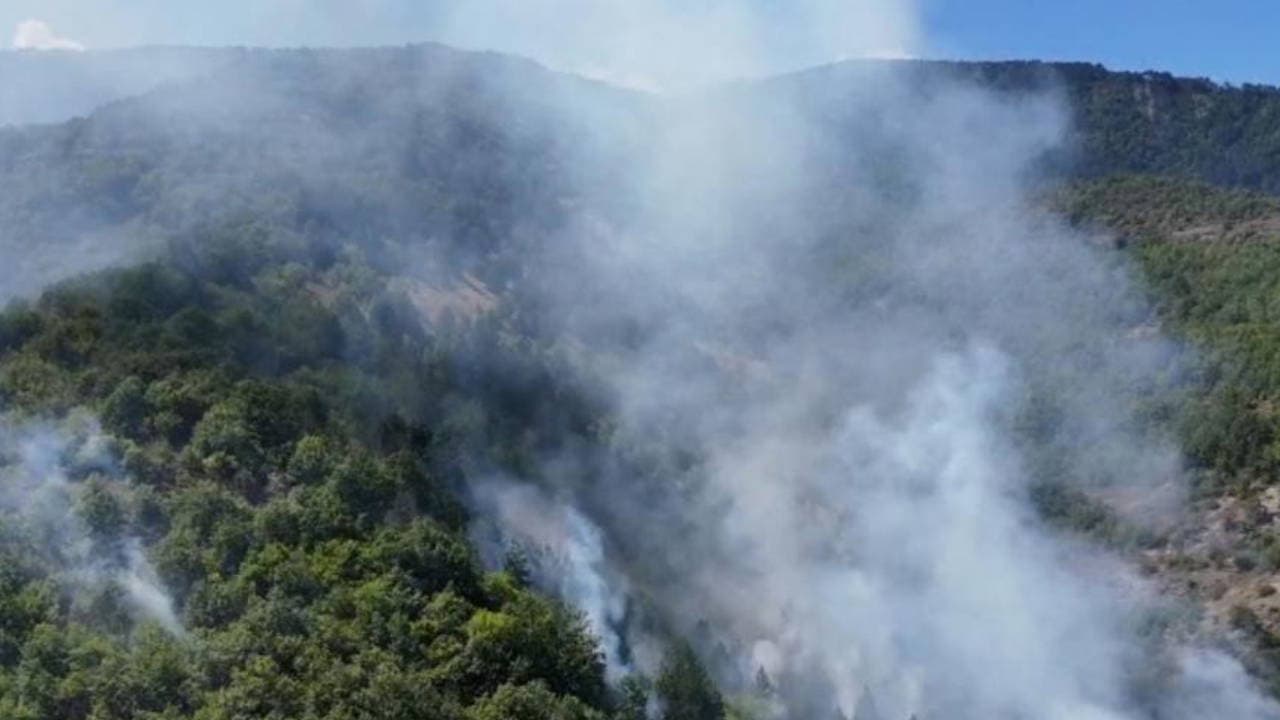 Sinop'ta Orman Yangını