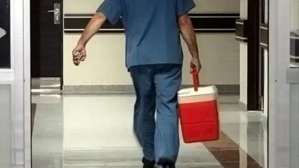 Türkiye’de organ bağışı alarmı: 1 milyonda 3-4 kişi bağışçı, gözler yapay organ ve hayvandan nakilde
